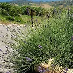 Bed & Breakfast Polercia Cupello
