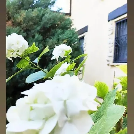 Polercia Nocleg ze śniadaniem 3*