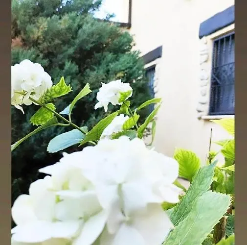 Polercia Отель типа 